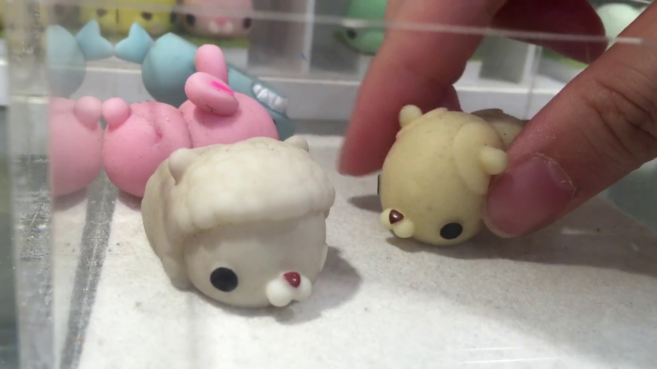 Moni Moni Mochi Animals Squishy Squeeze Toys - YouTube