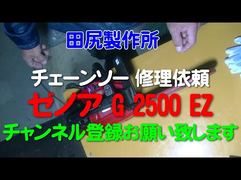 Zenoah G2500 chainsaw - various parts are gradually deteriorating