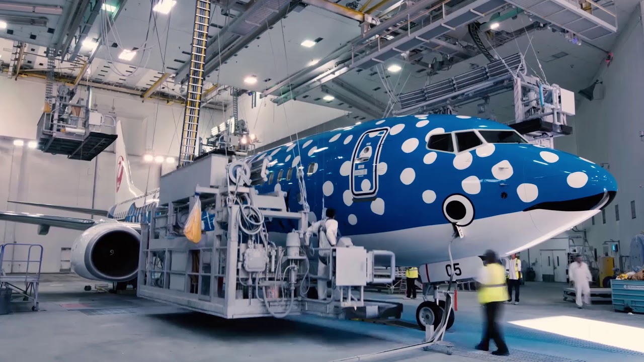 JTAオフィシャルサイト - ジンベエジェットペイントムービー - YouTube