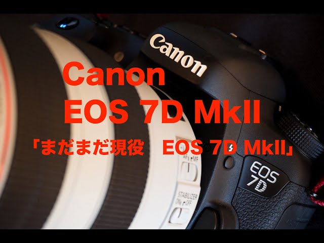 写真家 泉 悟朗 Canon EOS 7D MkII 「まだまだ現役 EOS 7D MkII
