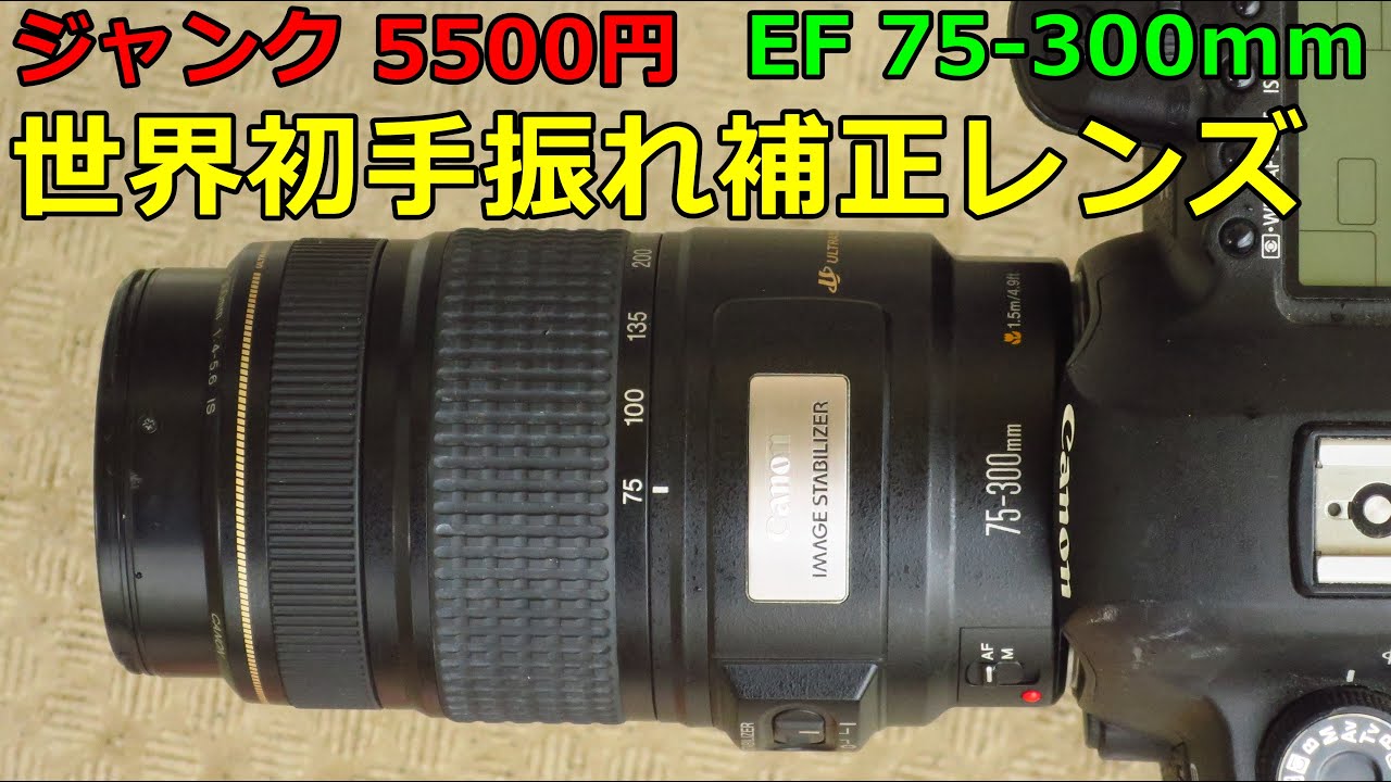 ジャンクレンズ買い物】5500円 CANON EF75-300mm IF USM 動作検証