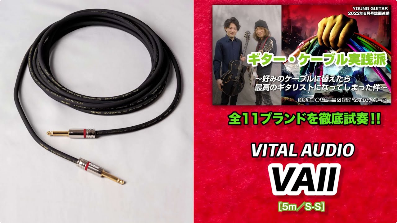 Vital Audio / VAII：精微に調整されたレンジ感！ 『ギター・ケーブル