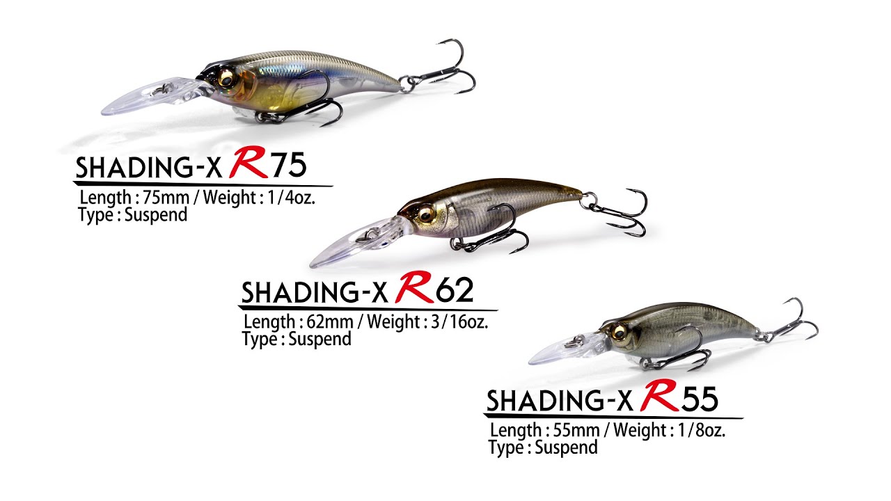 はじめてのバス釣り（秋）メガバススタッフが秋のバス釣りをガイドし