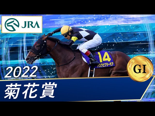 2022 Kikuka Sho (GⅠ) | Ask Victor More | JRA Official - YouTube