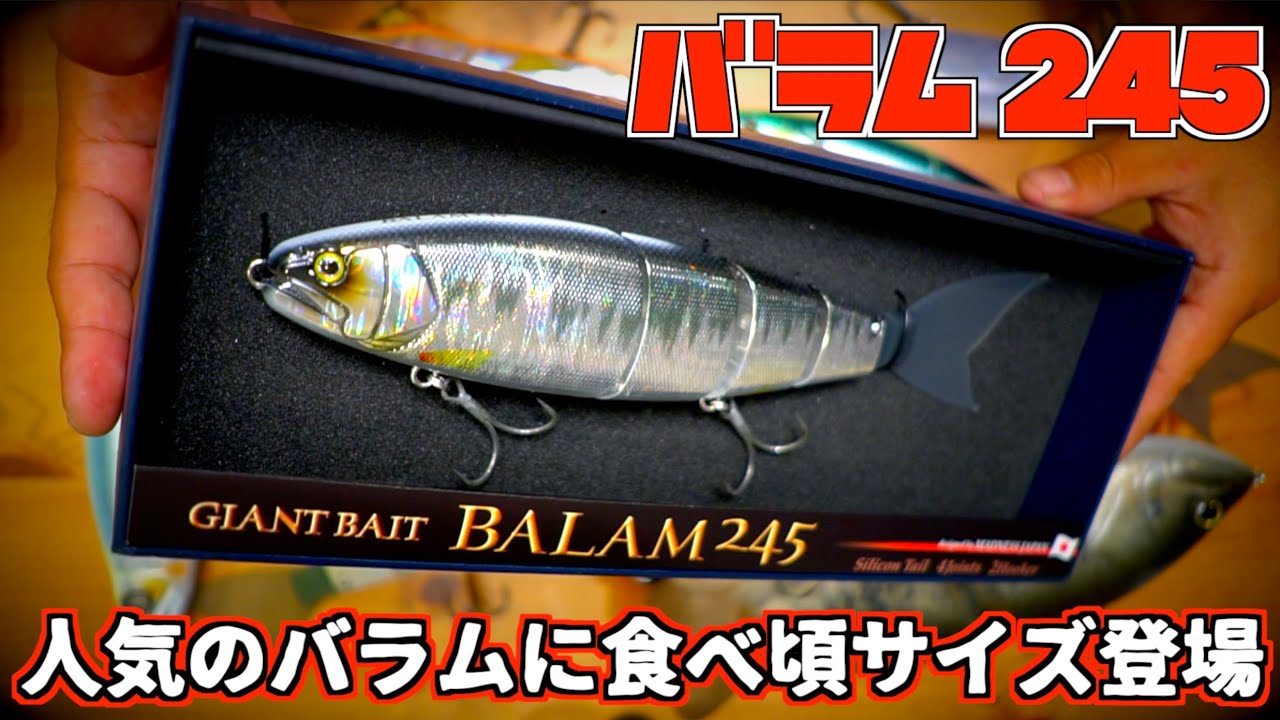 人気のバラムに食べ頃サイズ！「バラム245/BALAM 245」現る #バス釣り
