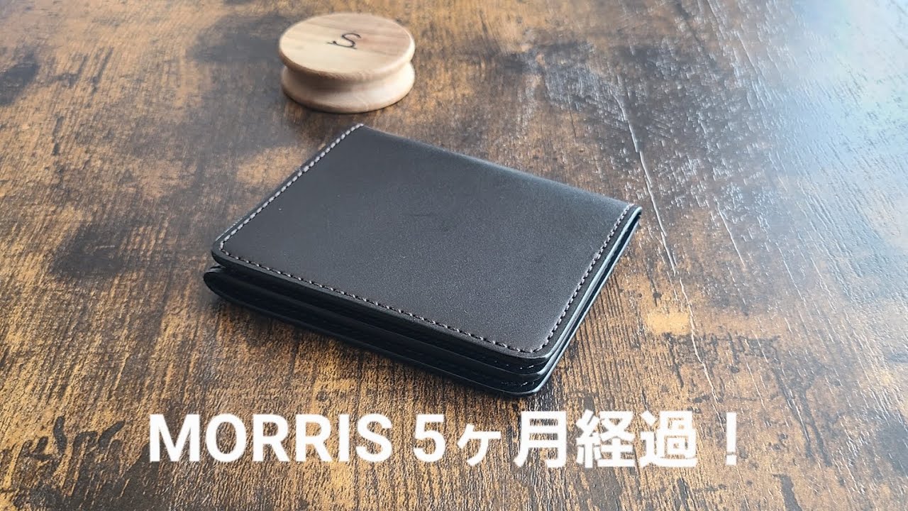 WILD SWANS morrisエイジング5ヶ月！ - YouTube