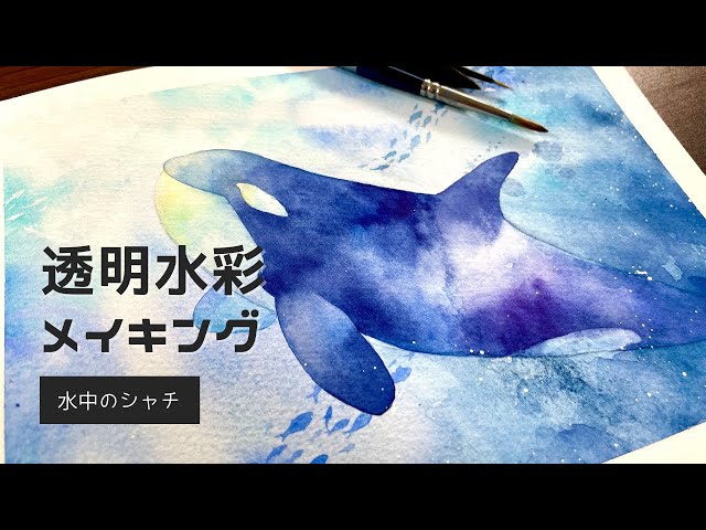 水中のシャチを透明水彩で描く｜メイキング｜Painting Orca underwater