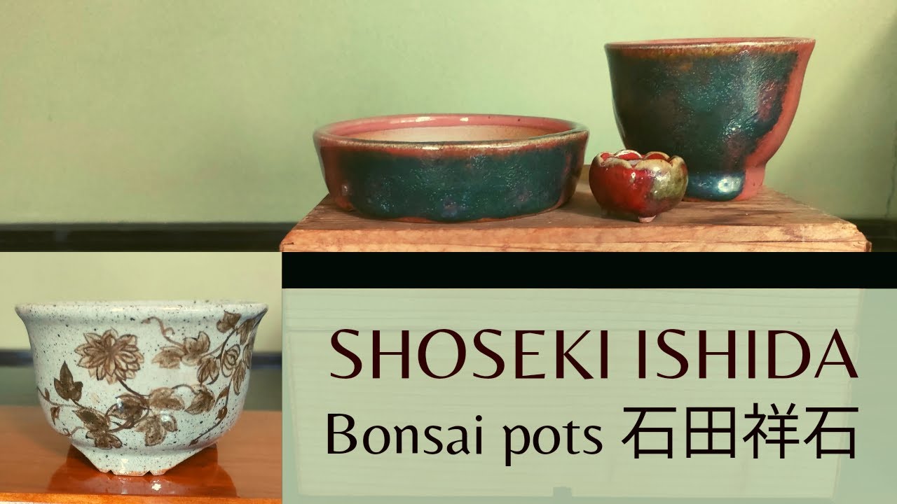Shoseki Ishida Bonsai Pots 石田祥石盆栽鉢 - YouTube