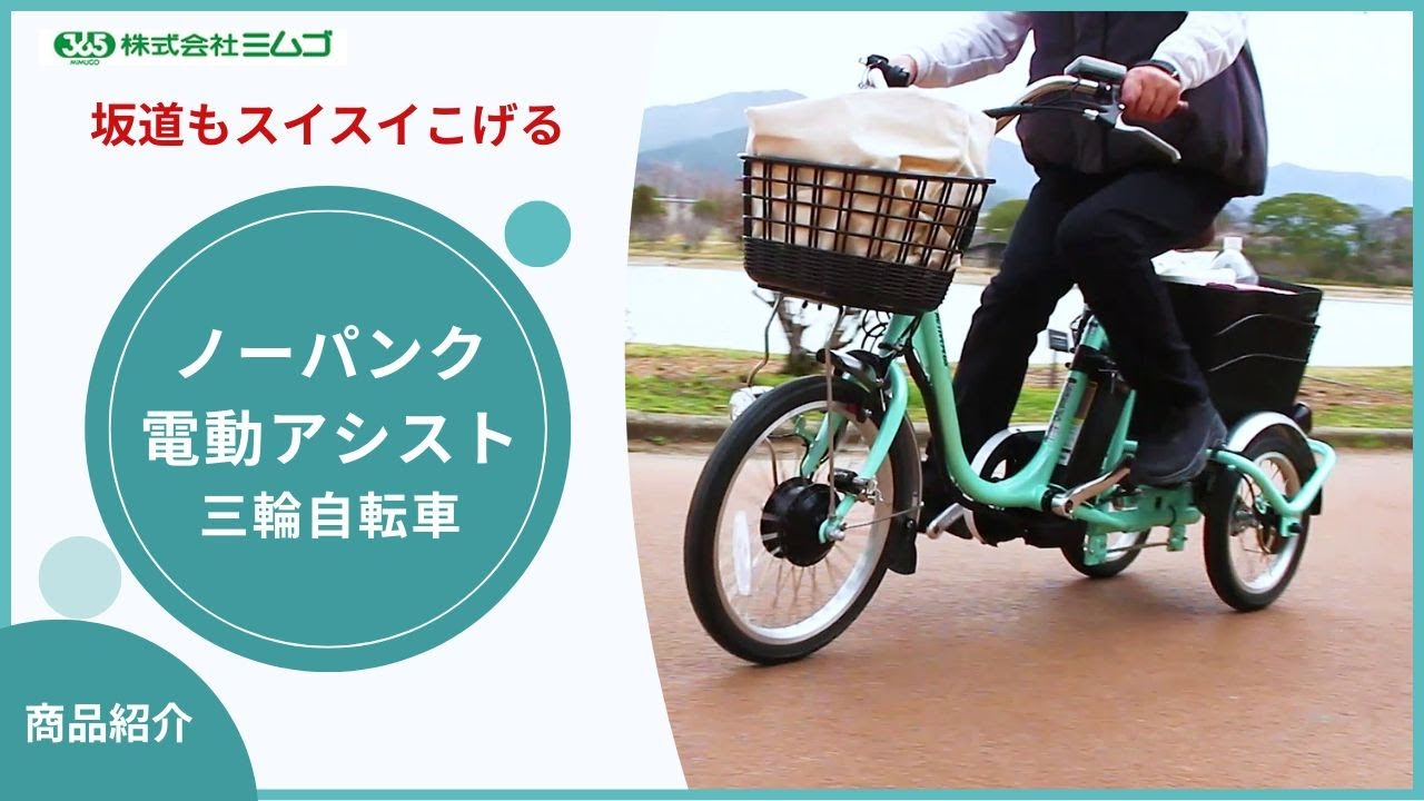 ☆ロータイプ ノーパンク電動アシスト三輪自転車(代引可・カバー