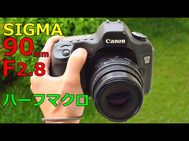 ジャンク】シグマ ハーフマクロレンズ SIGMA AF MACRO 90mm F2.8 動作