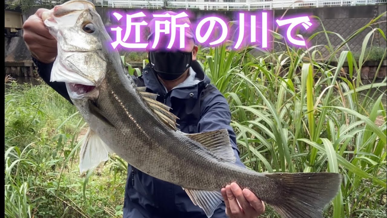 デイシーバス】近所の川でデイゲーム。氷柱TULALA Aventuraアベン