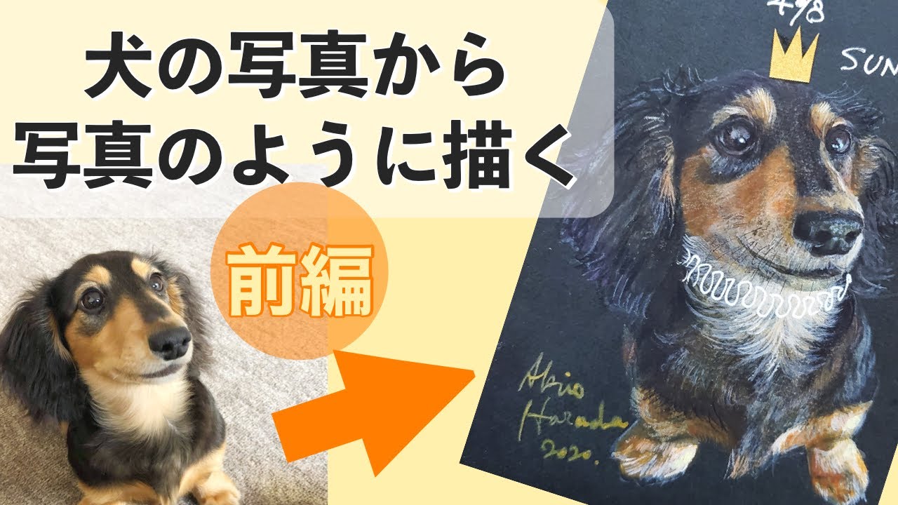 前編】犬の写真から写真のように描く「ミニュチュアダックスフンド