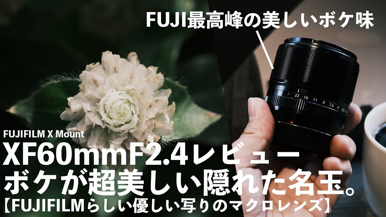 XF60mmF2.4 Macro Review! A hidden gem with beautiful bokeh! [A