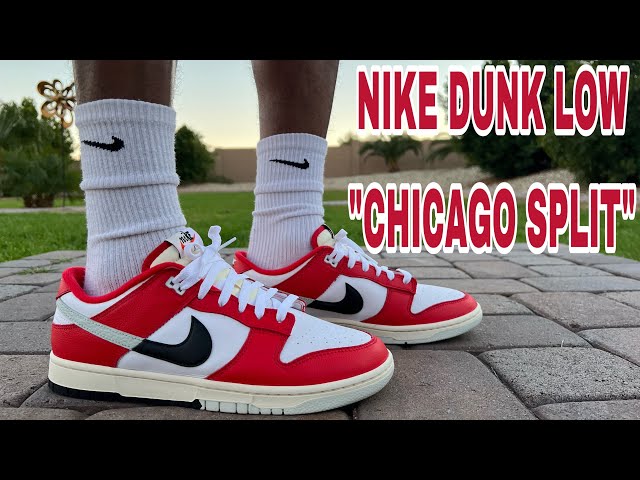 NIKE DUNK LOW RETRO PRM 