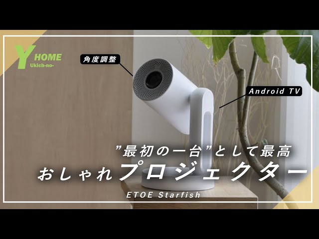 Best Value for Money] Compact yet High-Quality | Ceiling