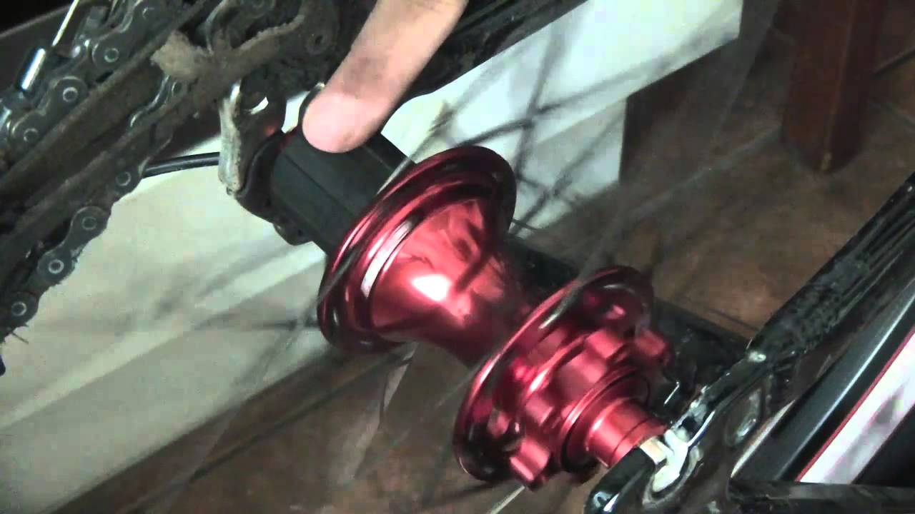 maxresdefault.jpg?sqp=-