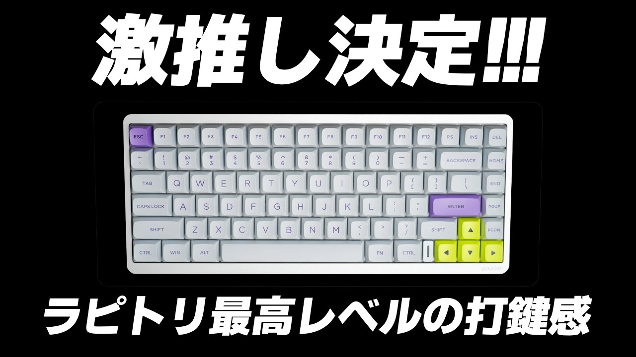 AESCO A83 : Electric Induction Keyboard Review - YouTube