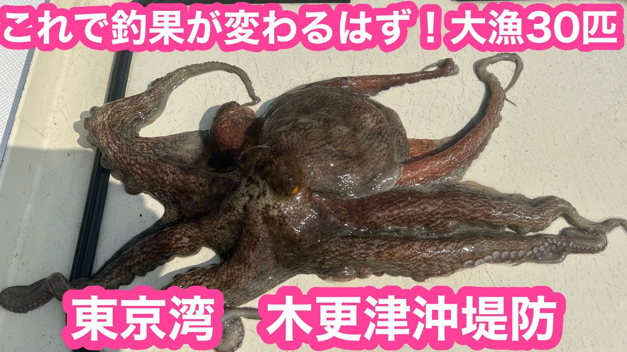 30 Octopus 🐙 - Small details make a big difference in your catch