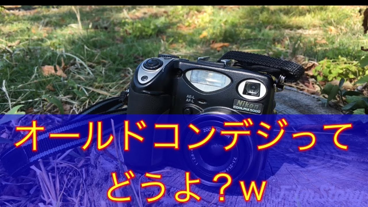 オールドコンデジの写りは？ニコンcoolpix5000で写真撮ってみました