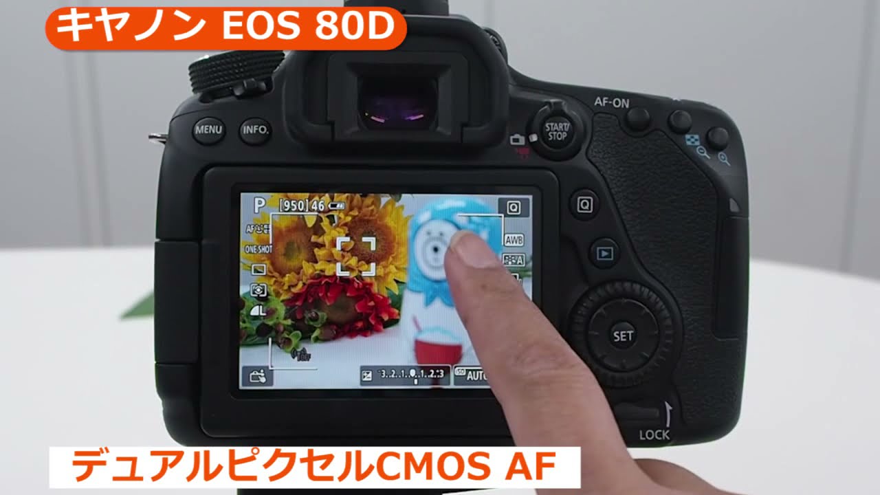 キヤノン EOS 80D EF-S18-135 IS USM レンズキット | デジタル一眼レフ
