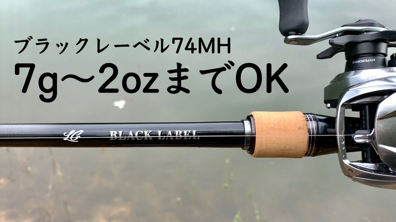 I finally bought a Daiwa heavy versatile rod [Black Label BLX