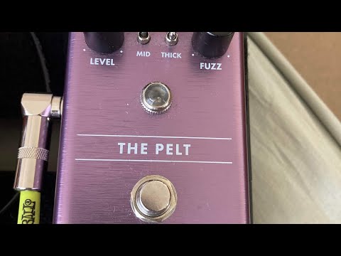 Fender The Pelt Fuzz Pedal (honest review like and subscribe