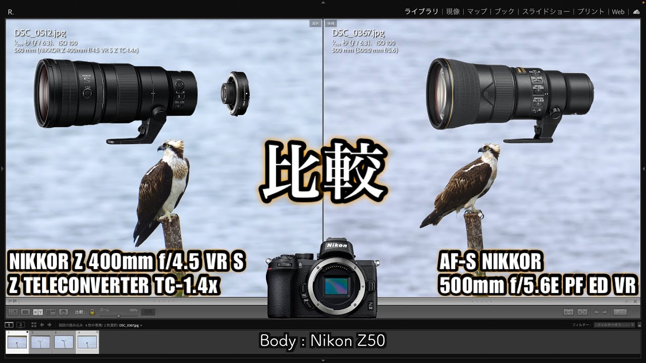 描写比較】445×1.4と556の描写力を比較 - Z 400mm f/4.5 VR S × Z TC