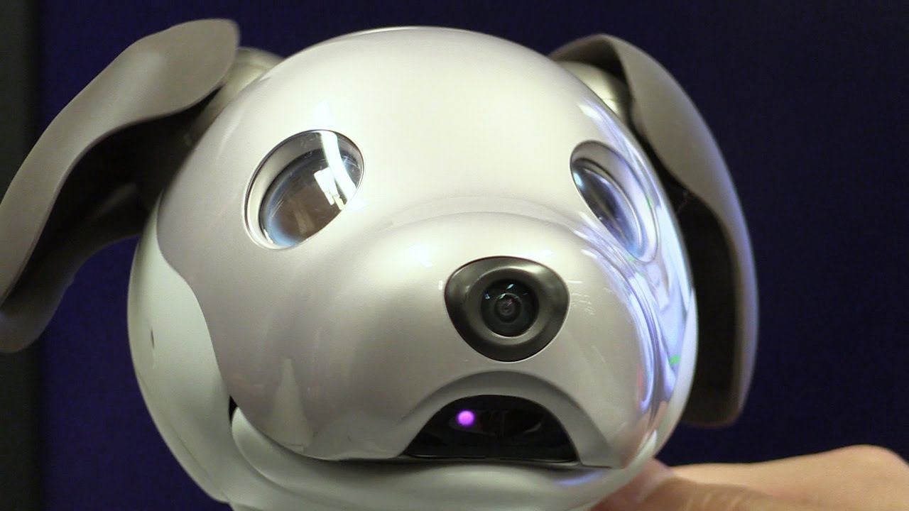 ソニーの「aibo（アイボ）」が復活 「1・11」にお披露目 - YouTube
