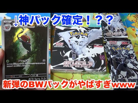 ポケモンカード】1枚目にAR！？新弾ホワイトフレア、ブラックボルト