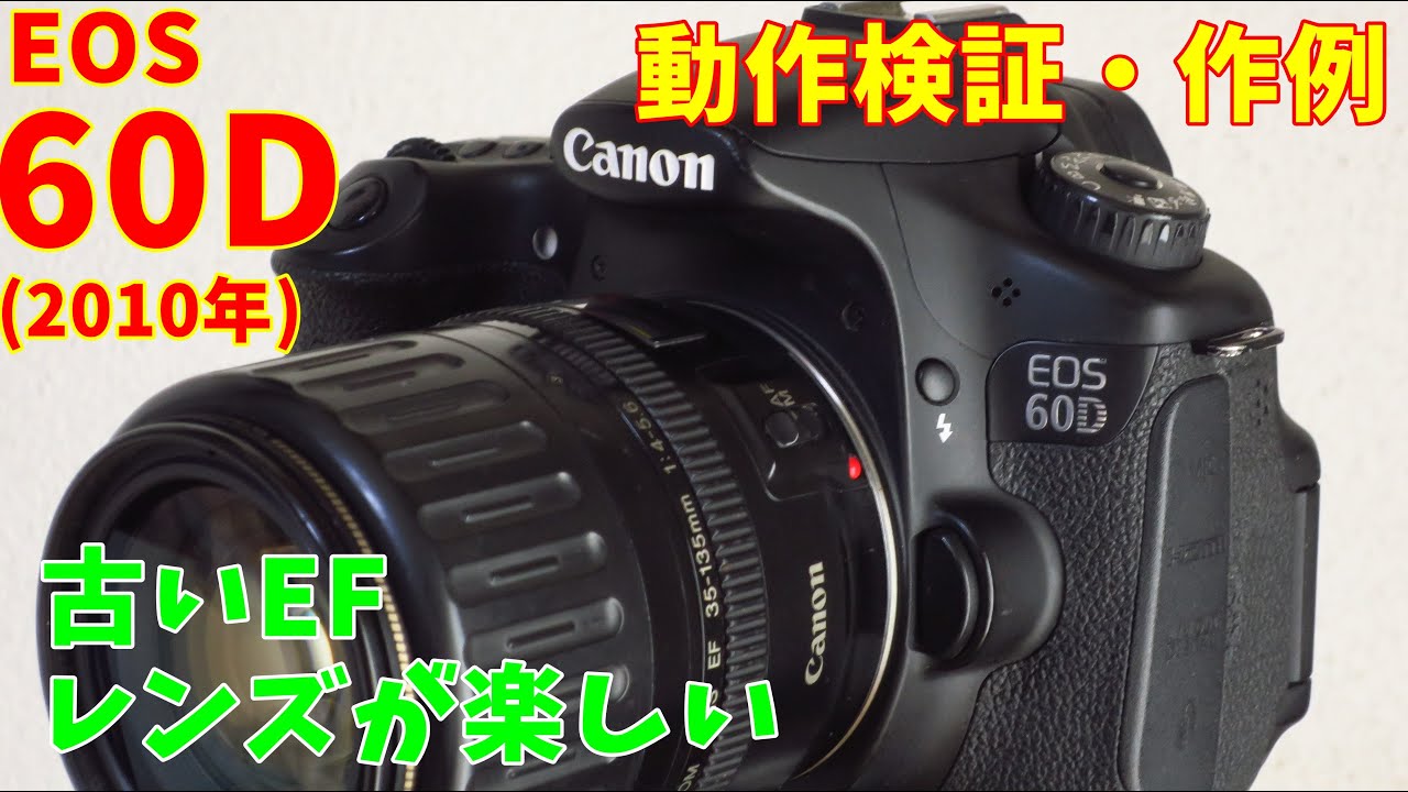Released in 2010] I bought a Canon EOS 60D. It's fun to pair it