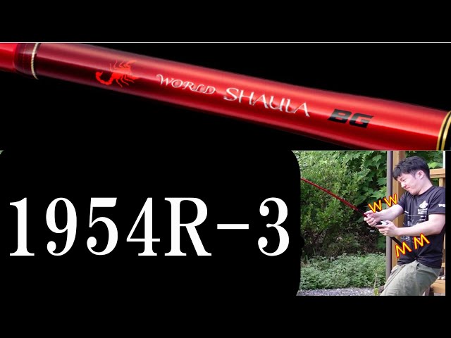 ワールドシャウラBG1954R-3】 徹底レビュー＆比較 - YouTube