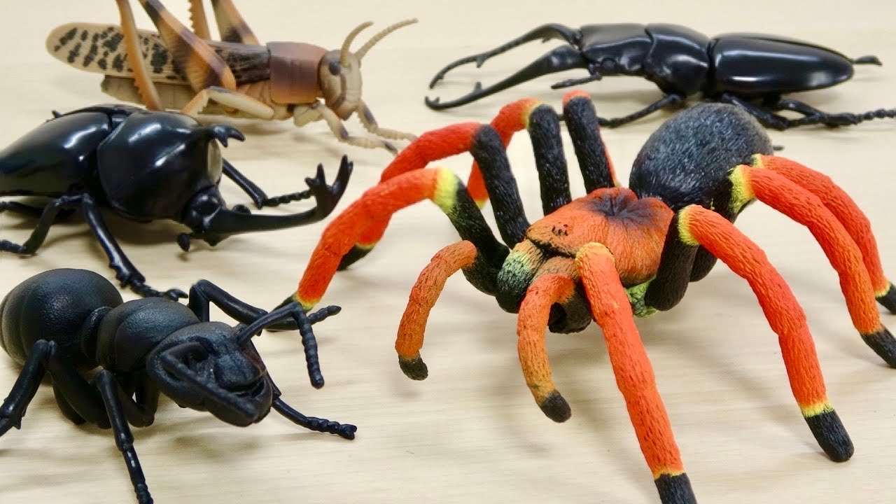 夏だ!昆虫だ!新作のあそべる生物フィギュアシリーズが登場 【昆虫の森