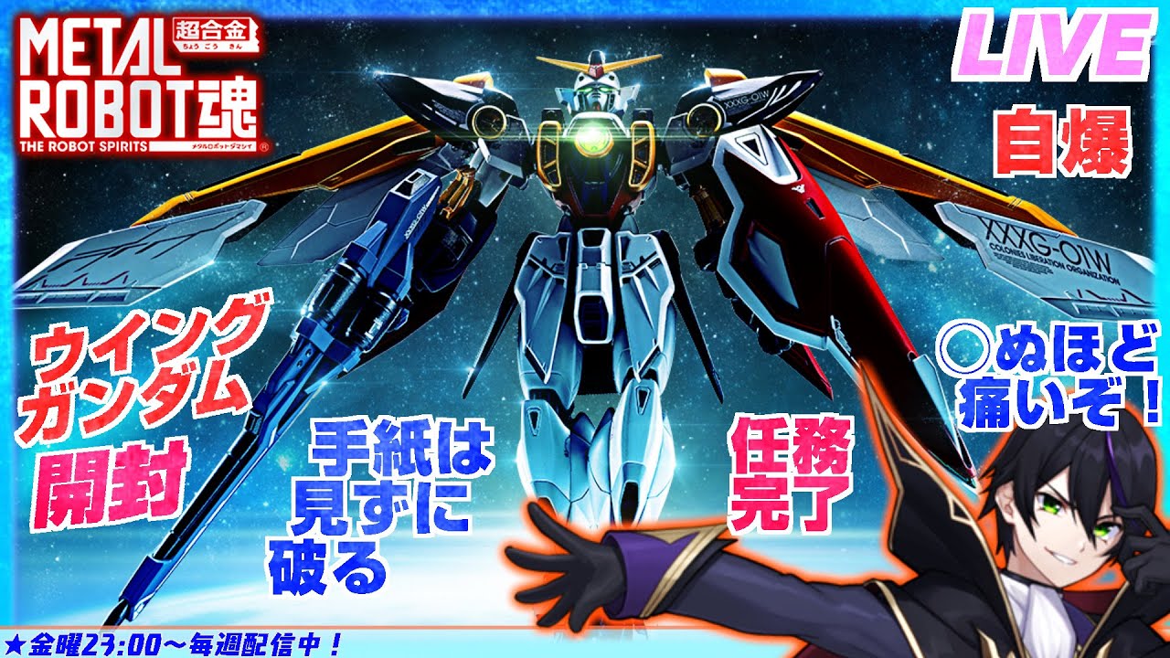 メタルロボット魂】ウイングガンダム開封！【新機動戦記ガンダムW