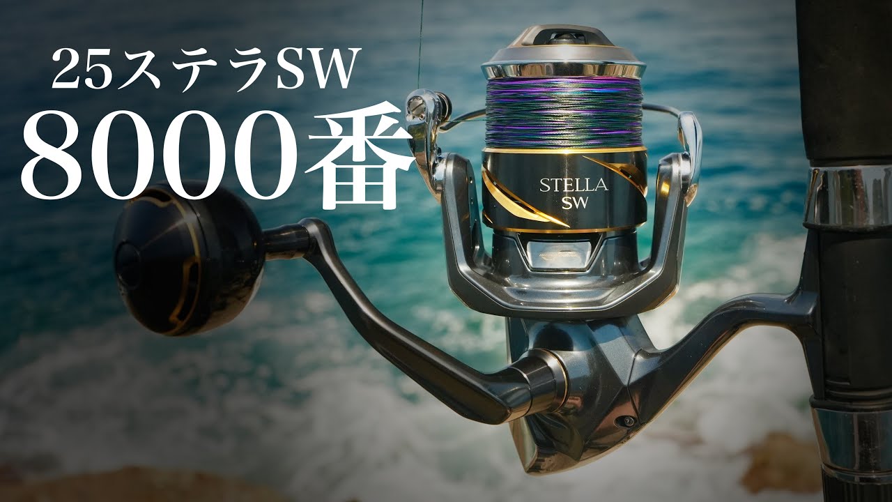 Long-awaited] The 25 Stella SW 8000 has arrived!!! [Impressions