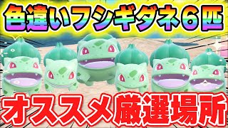 30分で4匹！色違いフシギダネがいっぱいゲットできる場所を紹介