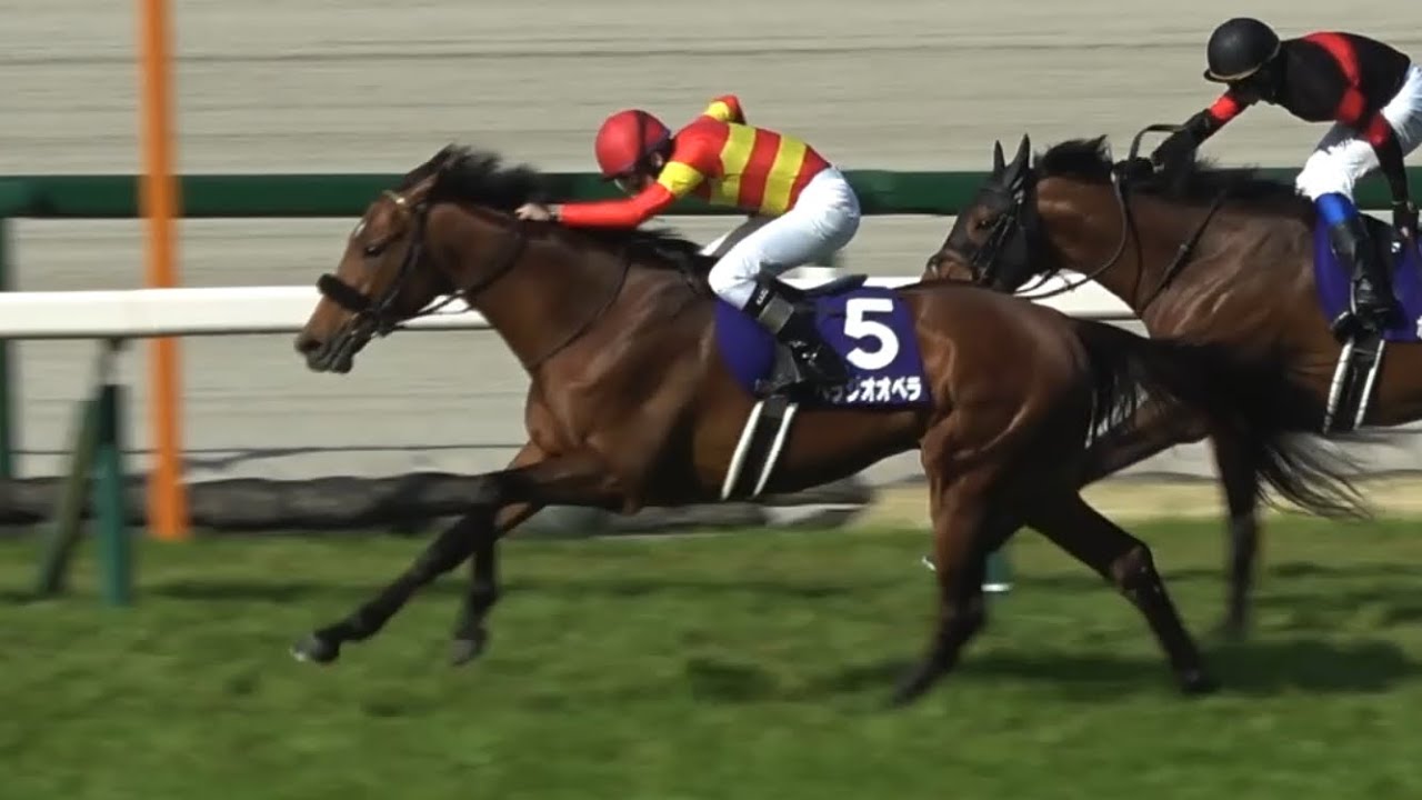 現地】2025 G1 大阪杯 ベラジオオペラ 横山 和生 連覇でレコードタイム