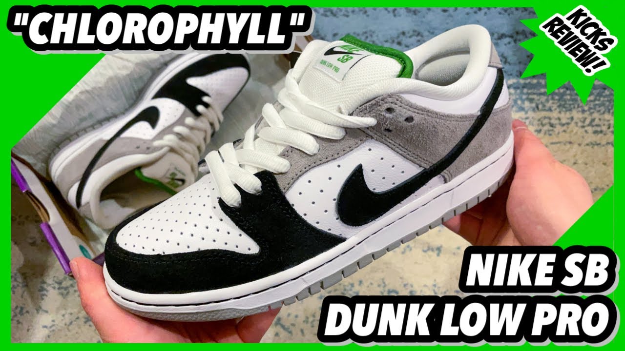 NIKE SB DUNK LOW PRO 