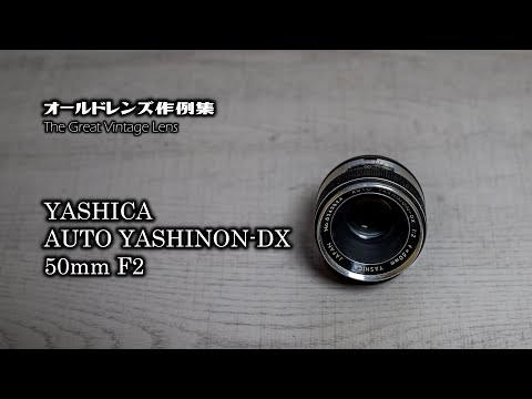 オールドレンズ作例集 The Great Vintage Lens『YASHICA AUTO YASHINON
