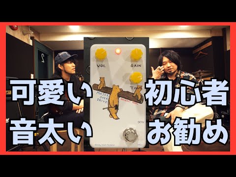 可愛いマーシャル系で優勝しよう！[Animals Pedals Major Overdrive
