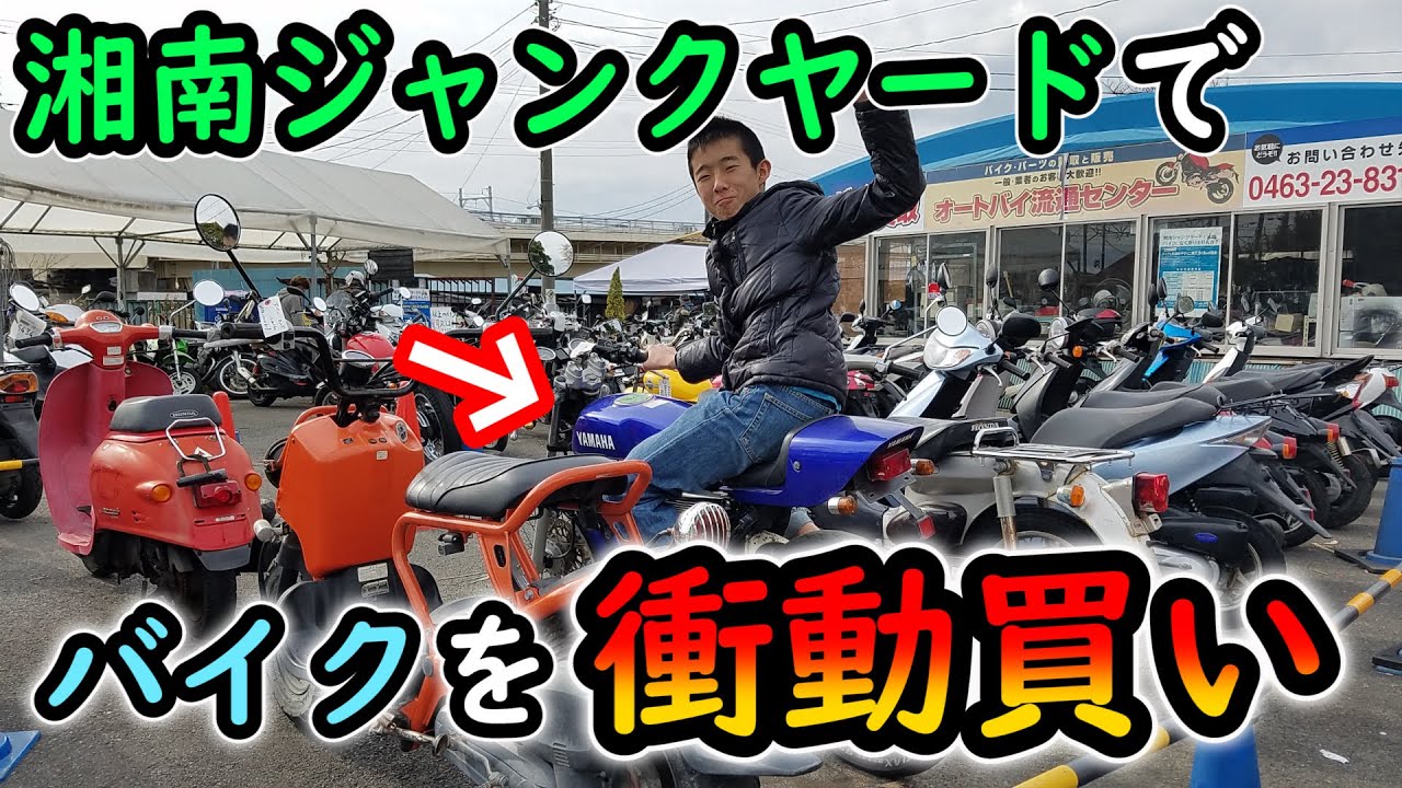 湘南ジャンクヤードでバイクを衝動買いしちゃいました - YouTube
