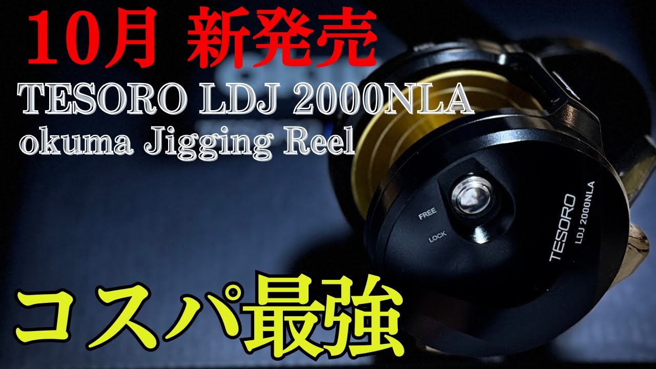 購入品紹介】テソロLDJ 2000NLA〜オクマ新型ジギングリール〜 - YouTube
