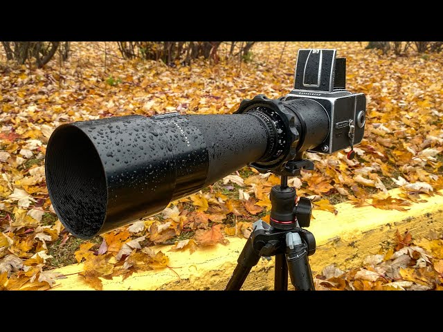 Say Hello to my Little Friend: Hasselblad Tele-Tessar 500mm f8