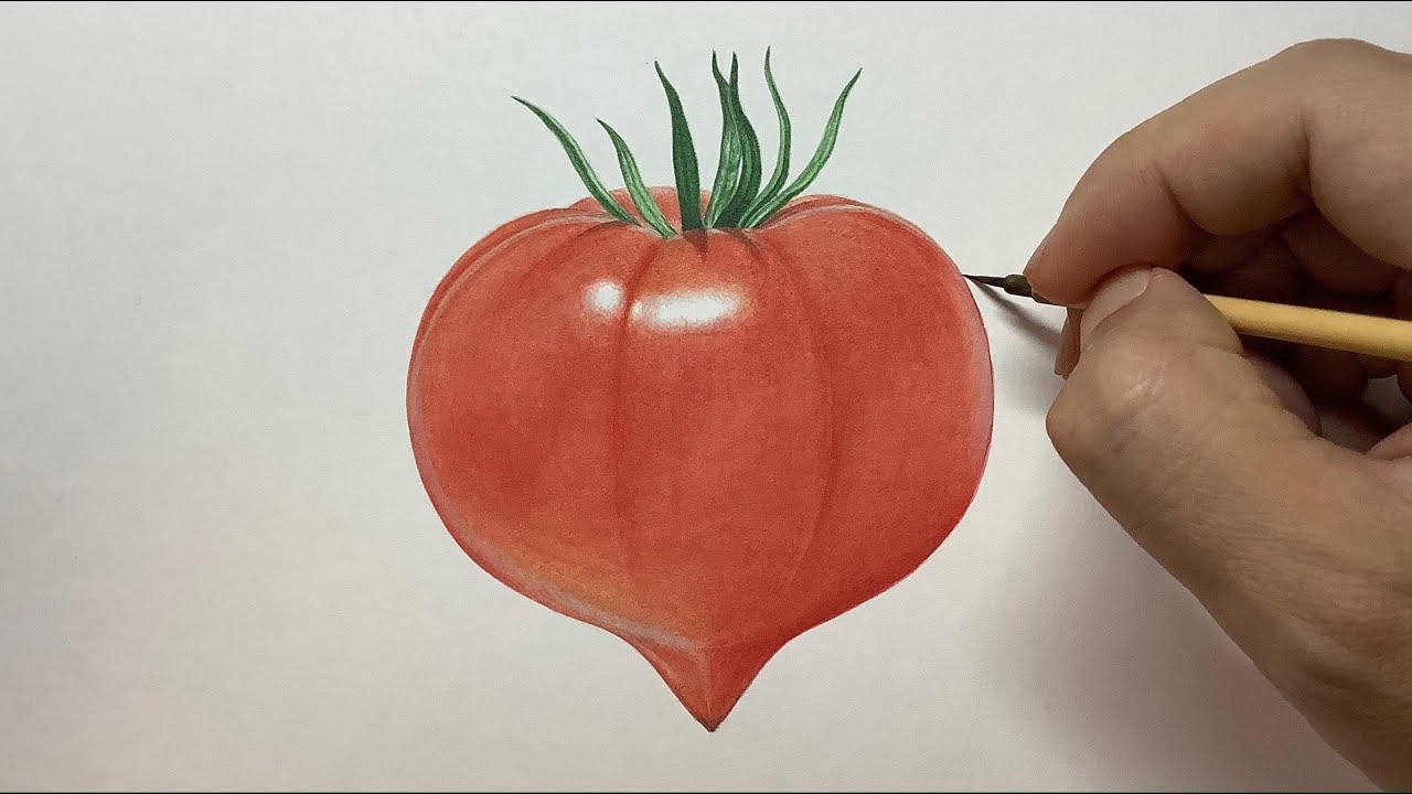 野菜を描く 愛知ファーストトマト】 Paint a tomato / Time lapse 22