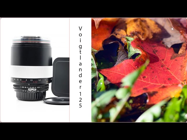 Tech] Voigtlander 125mm f/2.5 Apo-Lanthar (Mega Test & a 