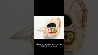 軟式トラスト［スモールハンドライン］（サイズ30.0cm）オールラウンド