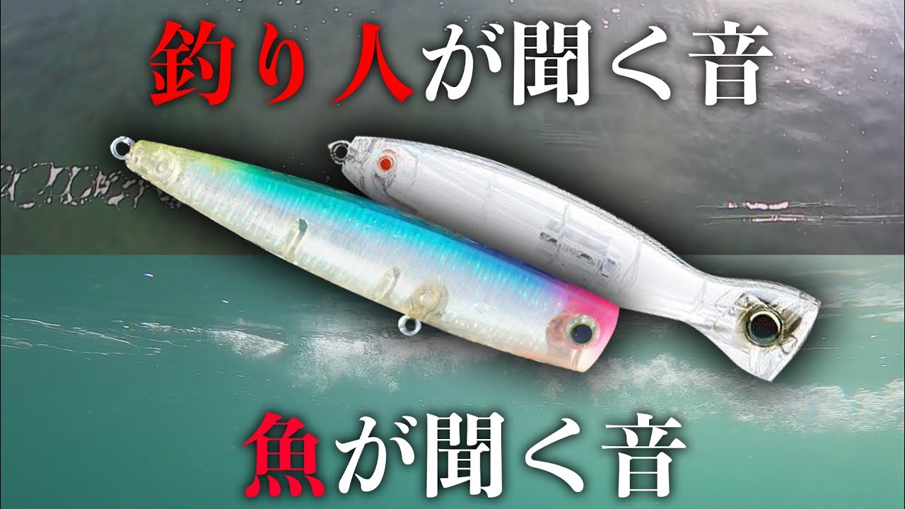 ポップクイーンとバレットブルを水中撮影してみた[比較動画] - YouTube