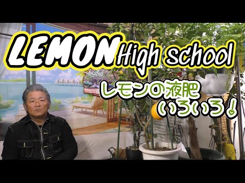 HIDE-1-ヒデさん - YouTube