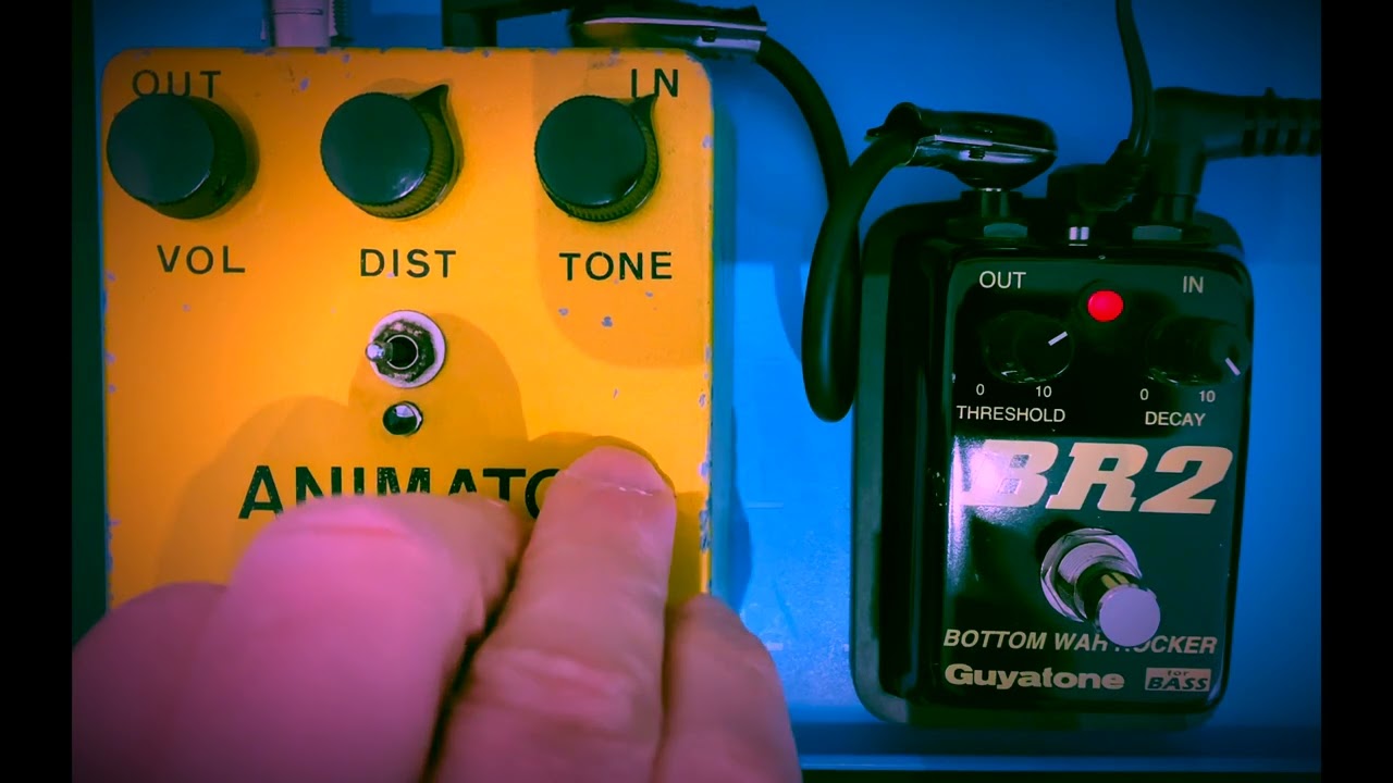 Guyatone Br 2 Bottom Wah Rocker + Human Gear Animato Bass Effect