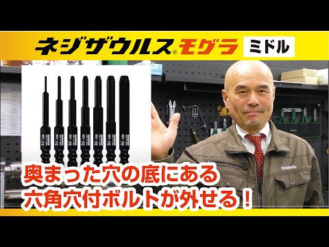 Multi-purpose Medium Length Screw Extractor 