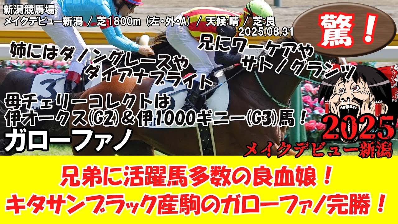 競馬】 驚き！ メイクデビュー新潟 (2025.08.31・新潟5R) 2025